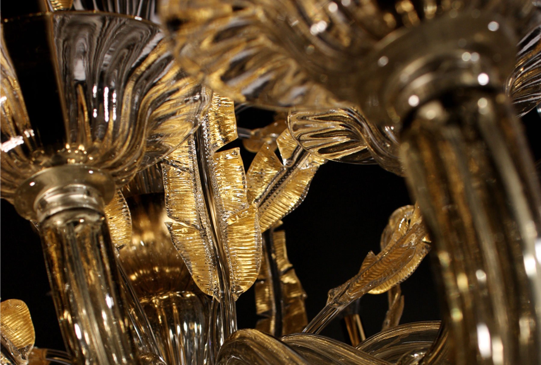 Roberto Cavalli – Fifth Avenue